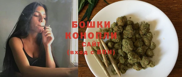 прущие грибы Белокуриха