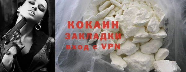 прущие грибы Белокуриха