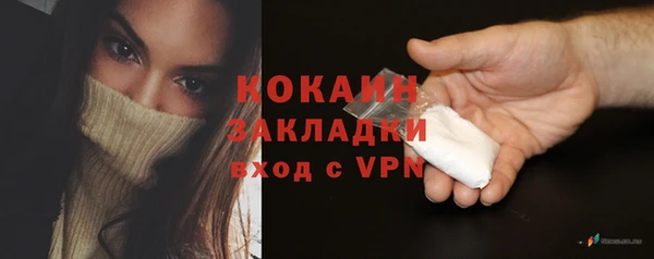 прущие грибы Белокуриха