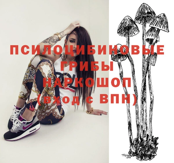 a pvp Беломорск