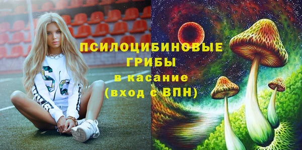 прущие грибы Белокуриха
