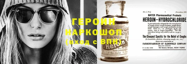 прущие грибы Белокуриха