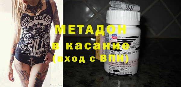 прущие грибы Белокуриха