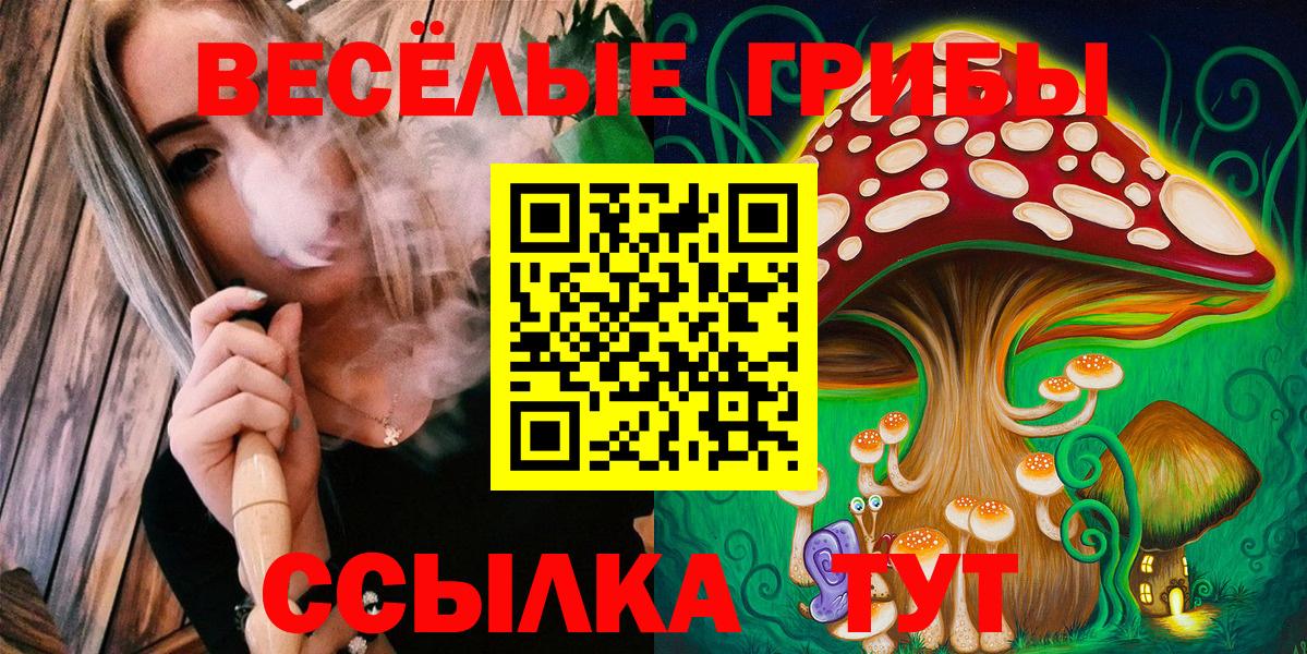 Псилоцибиновые грибы прущие грибы Малоярославец
