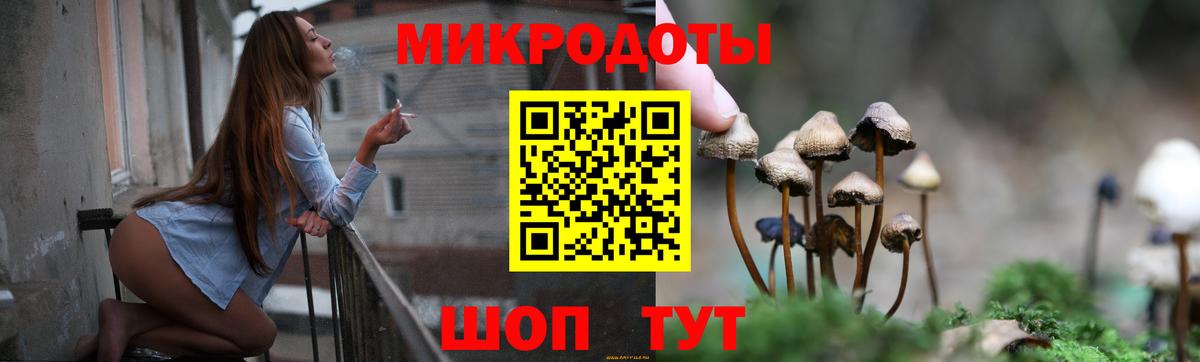 Псилоцибиновые грибы мицелий  Галлюциногенные грибы Psilocybine cubensis  Малоярославец  Вход с VPN 